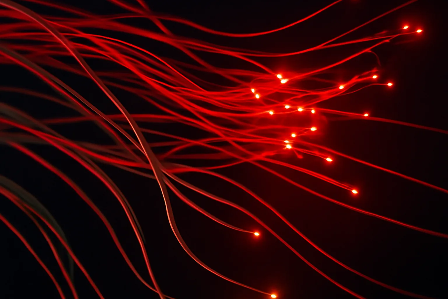 Hameçonnage : je retrace la provenance d'une page et la fais fermer